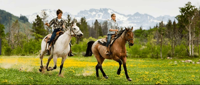 Confident plus-size woman riding Kingston-upon-Hull a horse through a field with a smile on her face.